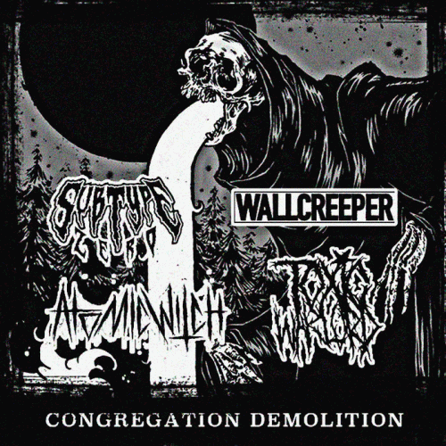 Subtype Zero : Congregation Demolition